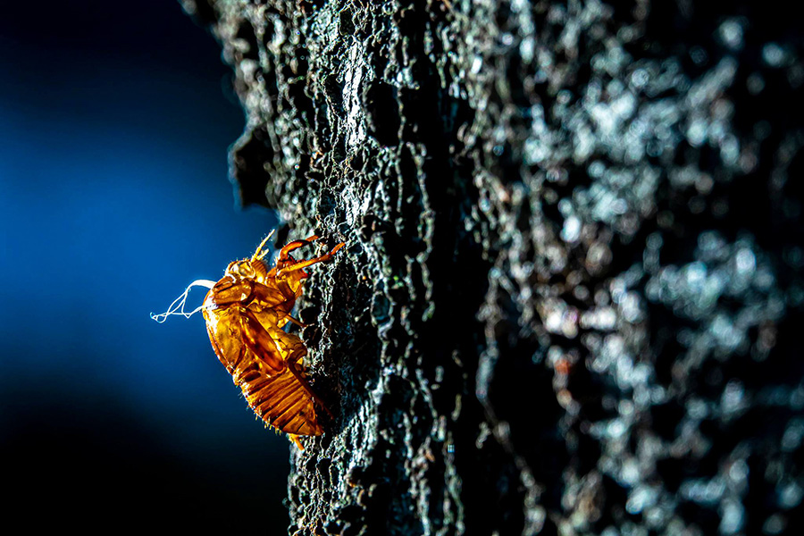 <b>Photo Sample.3</b>