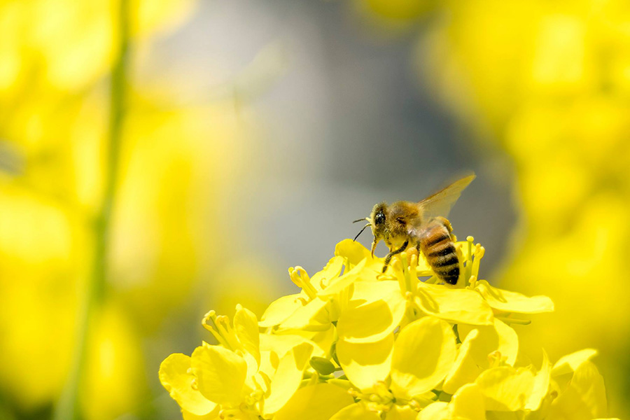 <b>Photo Sample.7</b>